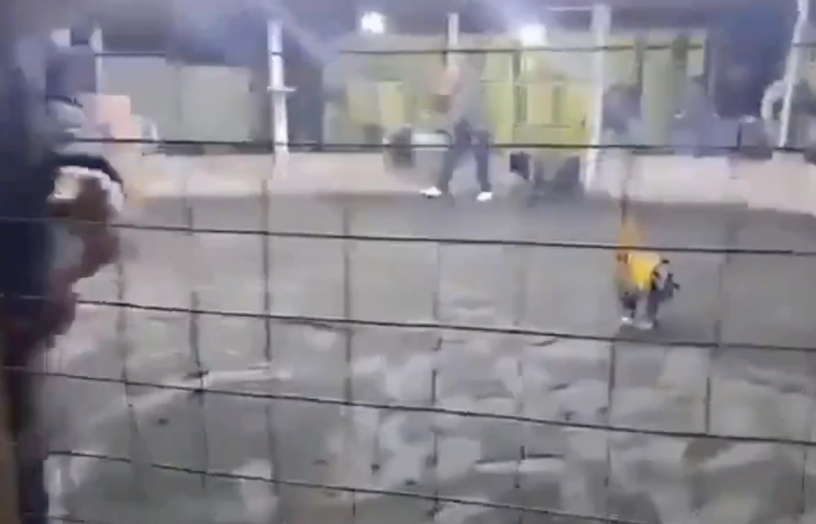 55歲男被鬥雞殺死!一刀割中下體「滿地鮮血」畫面曝光。圖/翻攝自X