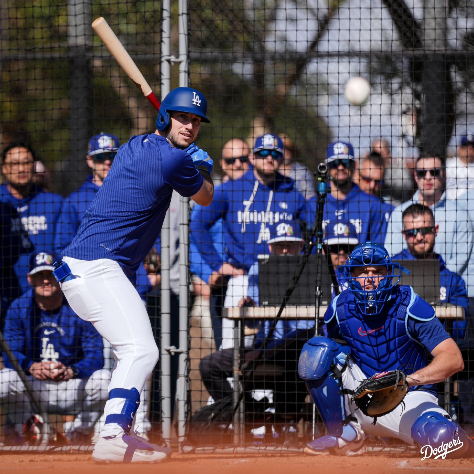 被打爆沒關係──大聯盟「春訓思維」給親師的教練學