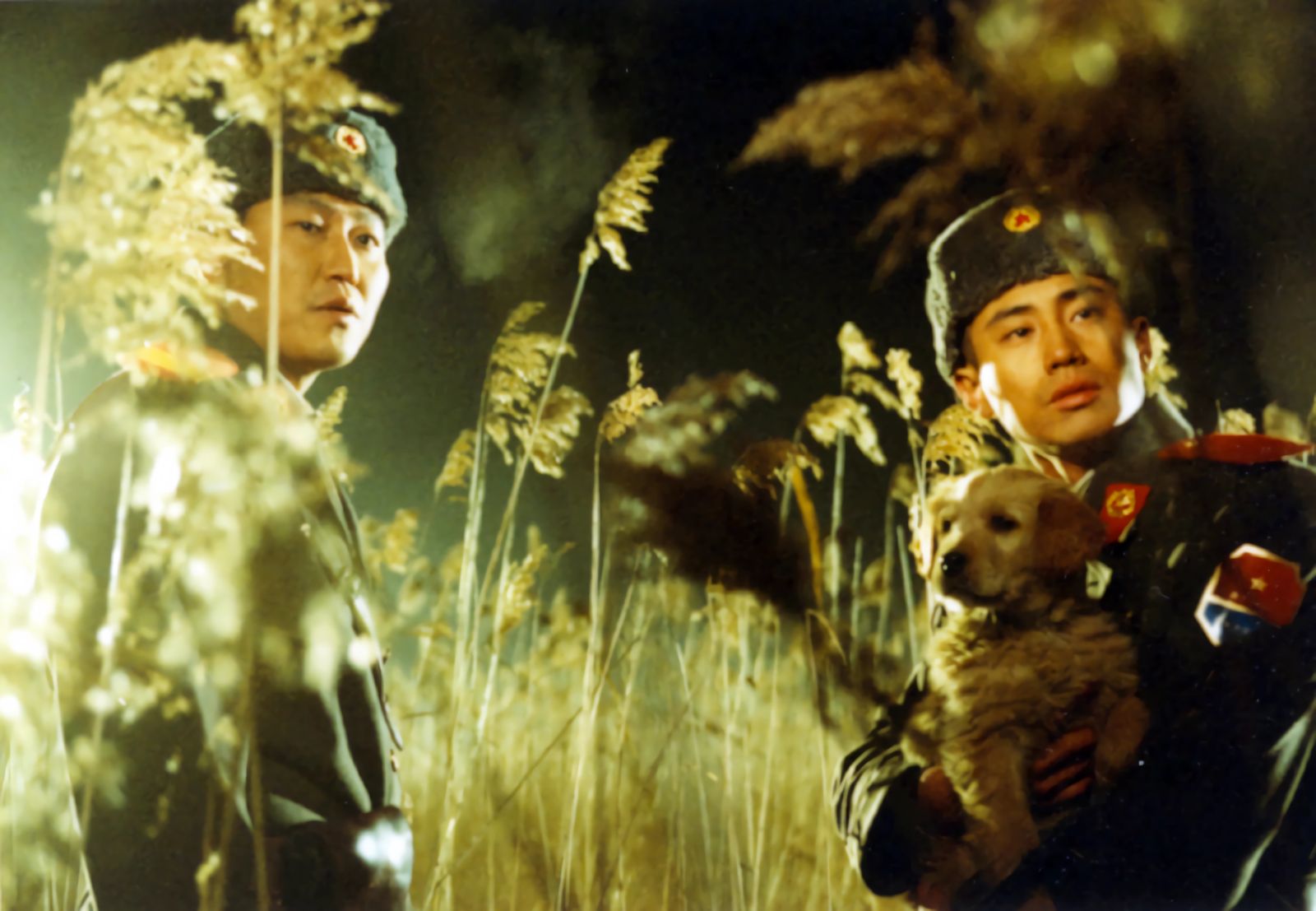 神作26年後重映！名導朴贊郁喊話台灣　嘆韓半島局勢「更糟了」