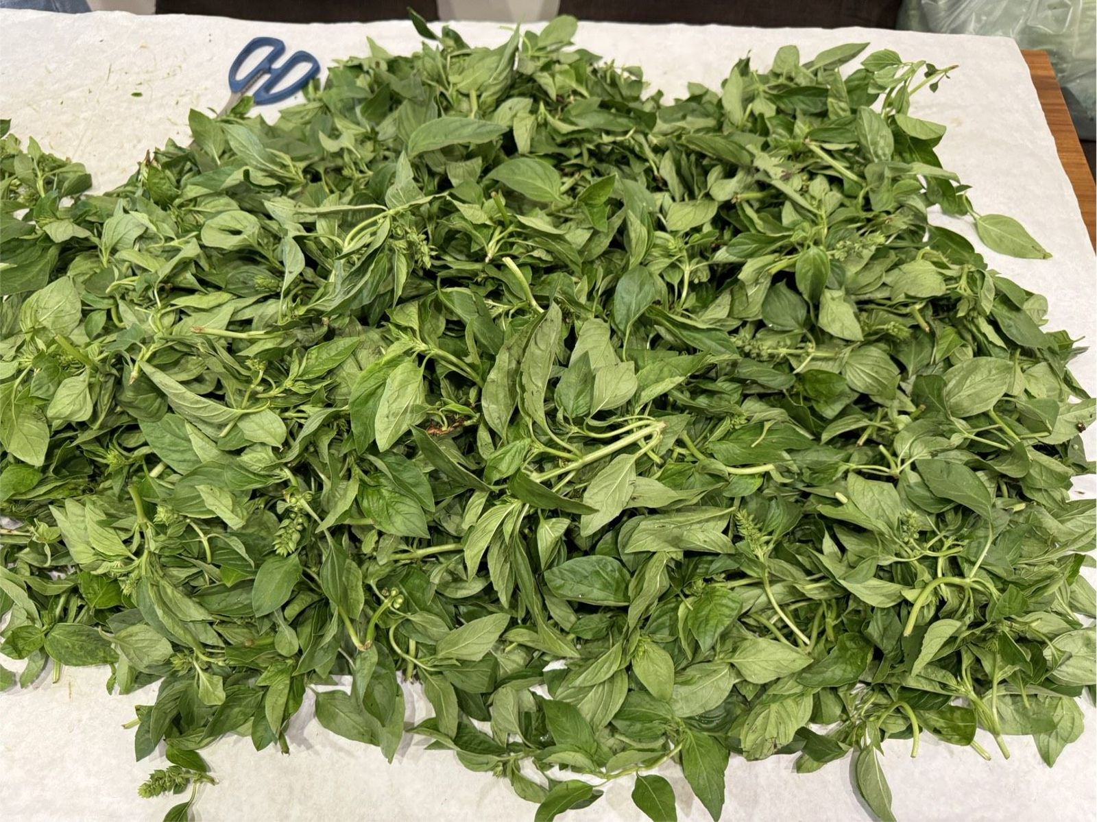 必比登餐廳踩到雷！北市抽驗農藥殘留13件超標　全聯1商品也違規