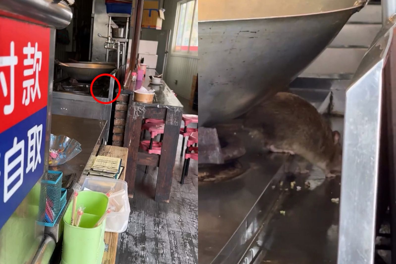 老鼠藏匿在便當店爐具旁的大鍋子(紅圈處)，嚇壞用餐民眾。翻攝threads _wei_i