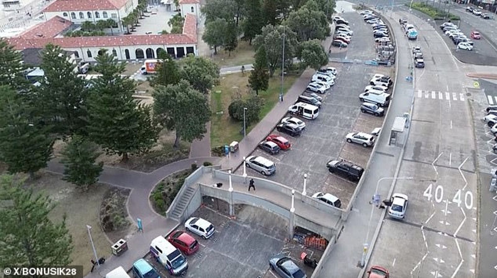 雪梨海灘槍擊16死40傷　凶手父子被狙擊瞬間曝光！1死1傷