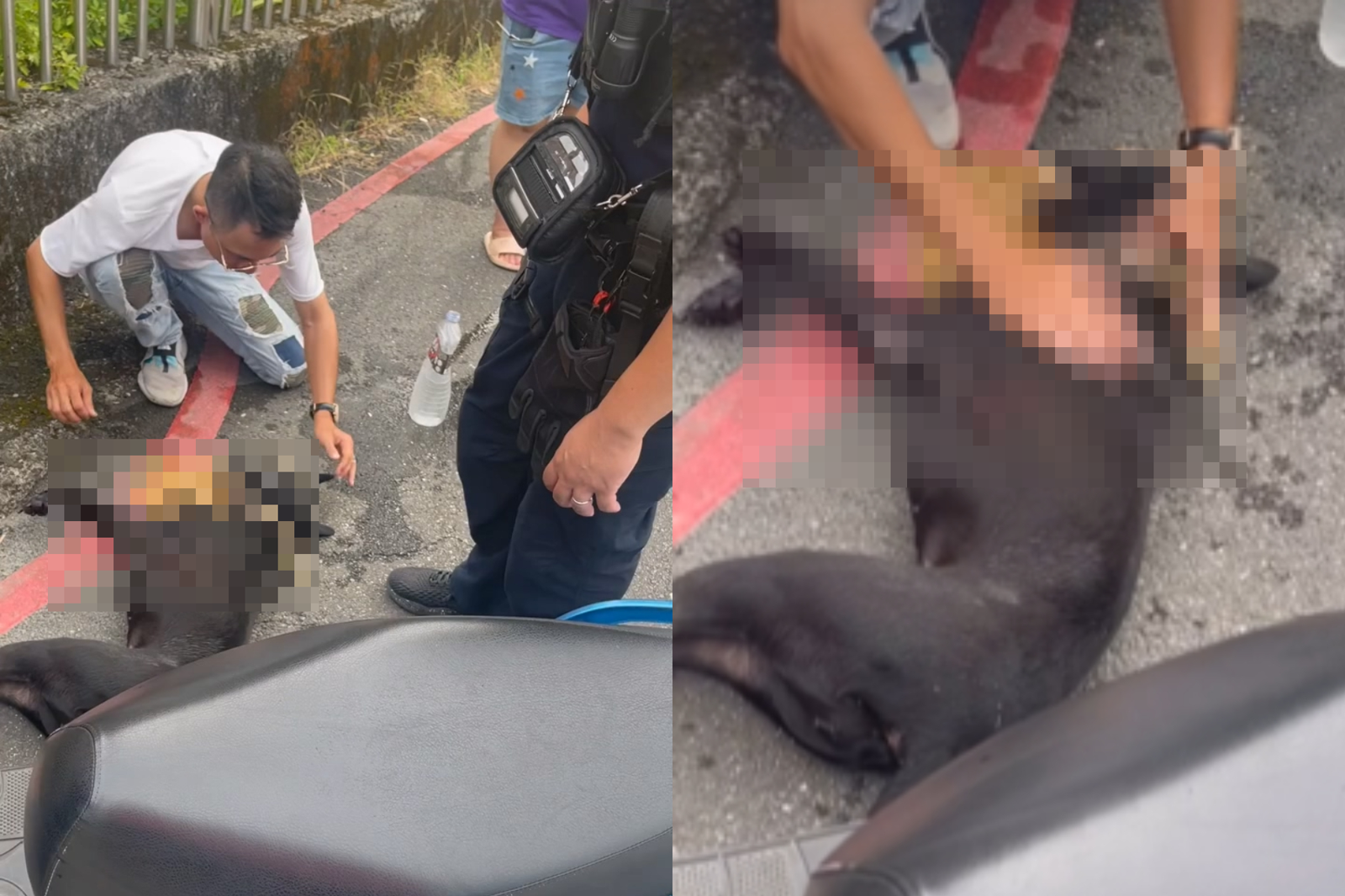 南港小黑狗遭拖行300公尺重傷亡　冷血翁：經常這樣！警介入法辦