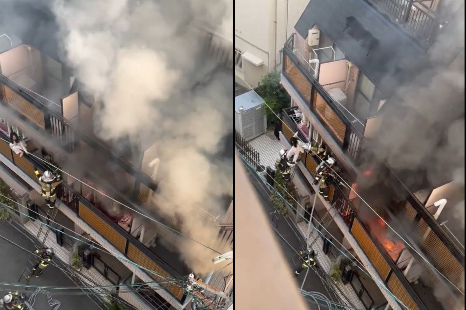 水煮蛋煮到失火!她竟把消防員「一腳踹下樓」 網嘆:救人比救火難